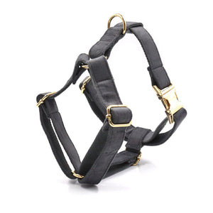 Elevate Your Pet's Style with Our Dark Grey Velvet Pet Collar Leash