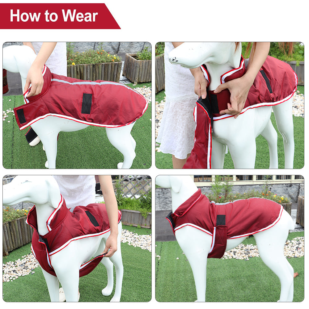 Keep Your Furry Friends Cozy This Season