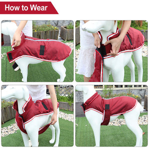 Keep Your Furry Friends Cozy This Season