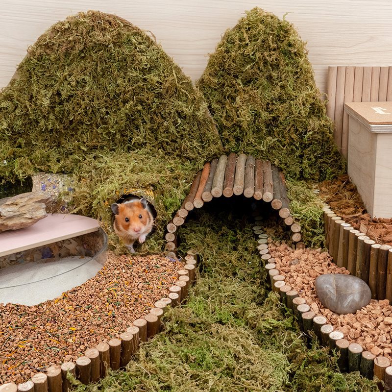 Dust-Free Oak Cork Hamster Bedding Landscaping Supplies