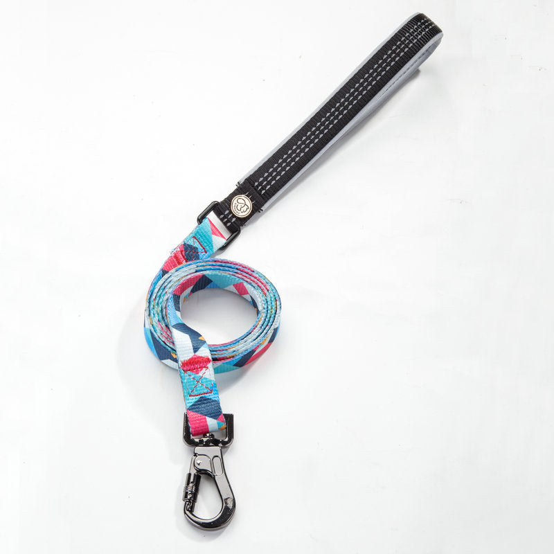 Durable Pet Leash For Everyday Walking And Control