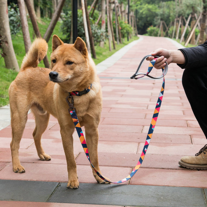 Durable Pet Leash For Everyday Walking And Control