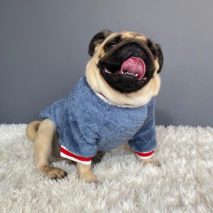 Pet Sweater Warm Cozy Clothing Outfit