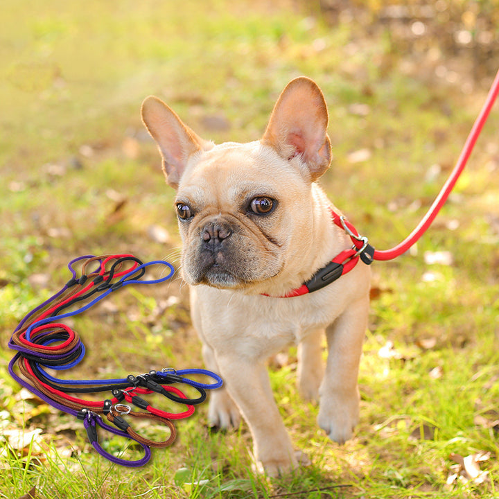 Durable Pet Leash For Daily Walking And Training