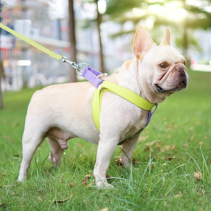 Rainbow Colorblock Pet Harness Set Anti Escape Vest Leash