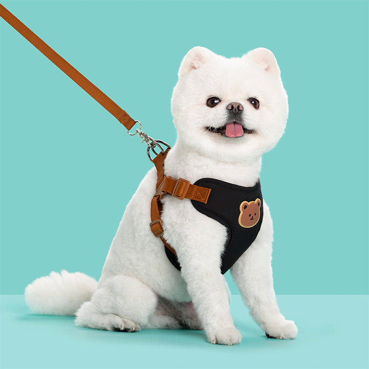 Outing Pet Strap Leash For Walking And Control