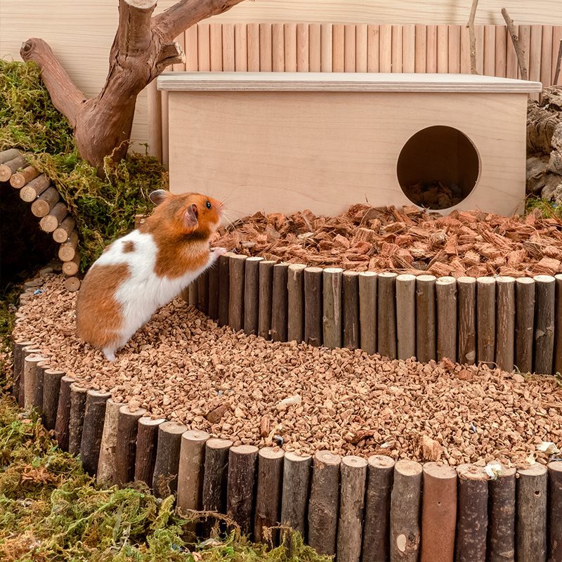 Dust-Free Oak Cork Hamster Bedding Landscaping Supplies