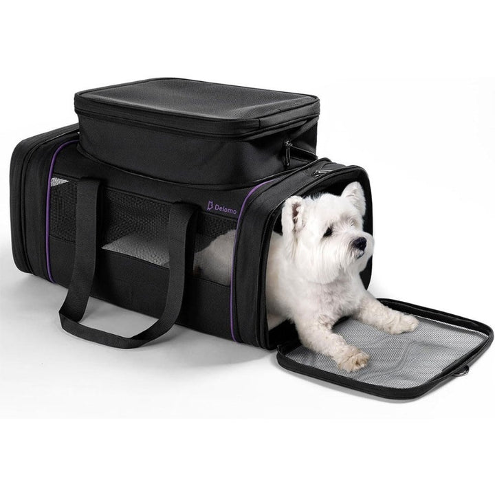 Portable Pet Carrier Travel Soft Expandable Airline Bag