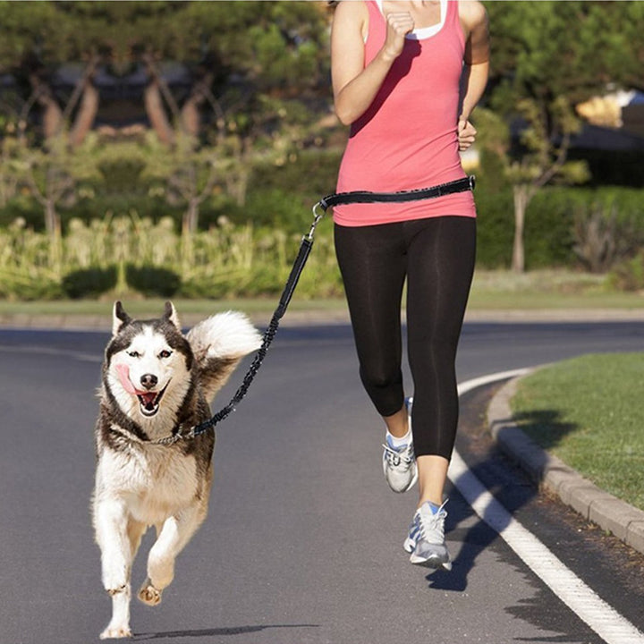 Adjustable Pet Harness Collar With Jogging Leash
