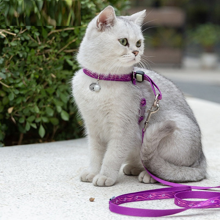 Bell Chest Strap Pet Vest With Haulage Rope Leash For Small Pets