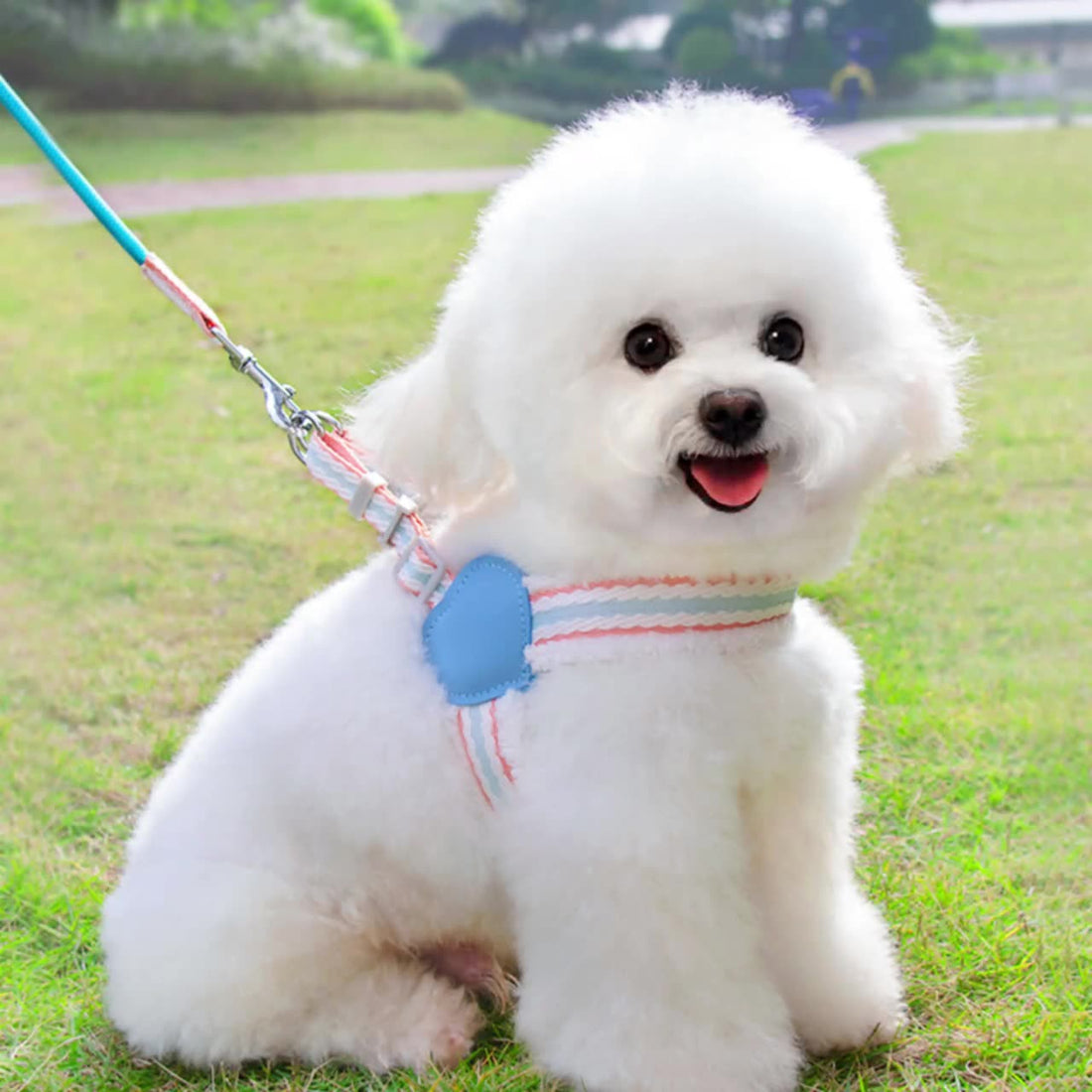 Breathable Pet Chest Vest Leash For Summer Walking And Control