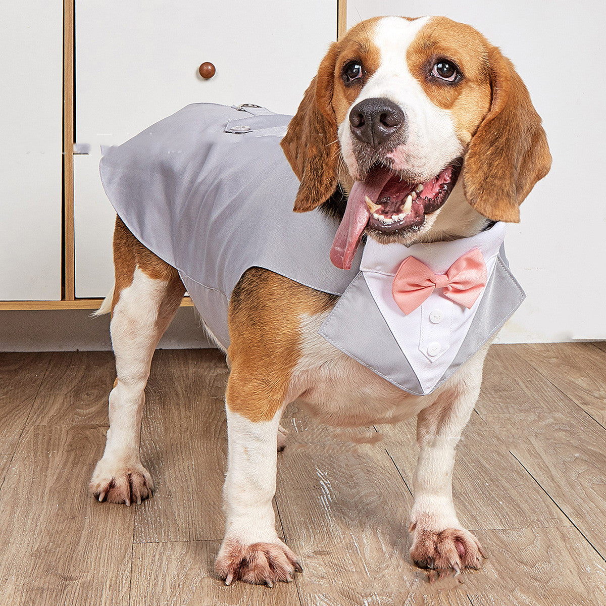 Pet Wedding Suit Jacket Formal Clothing Outfit