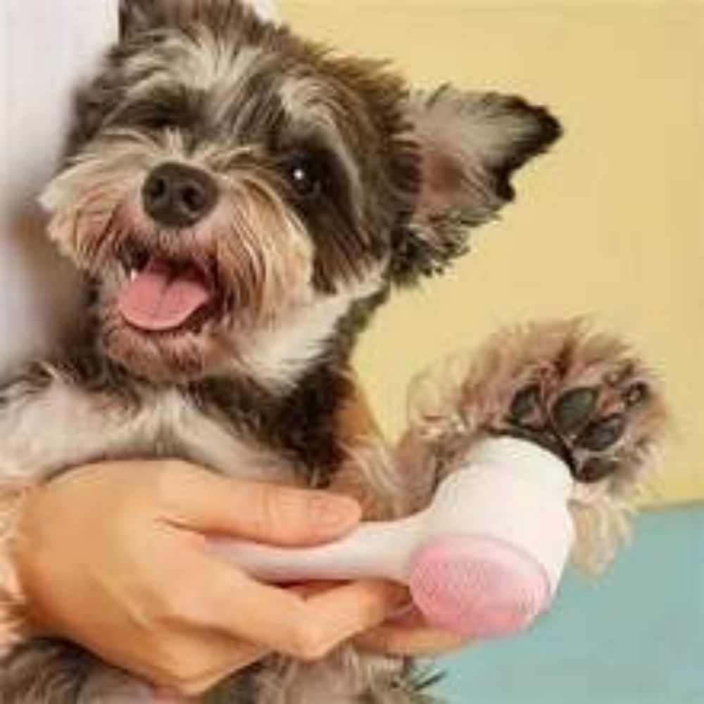 Pet Paw Grooming Brush Gentle Cleaning Massage Tool