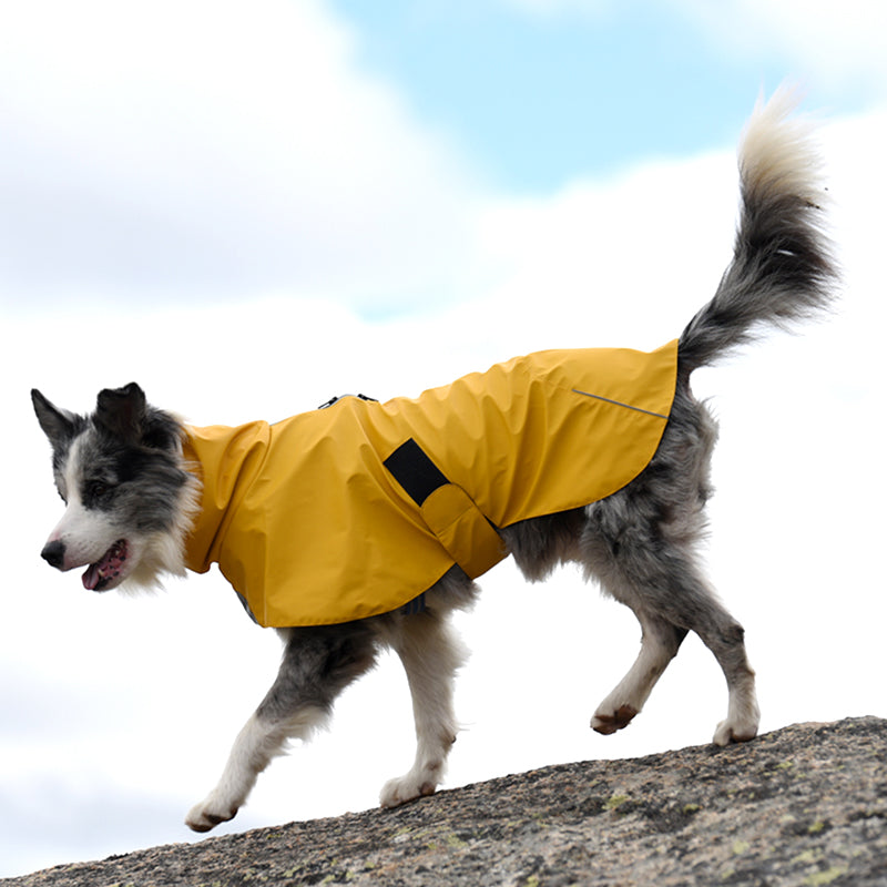 Waterproof Windproof Pet Shell Rain Jacket Coat